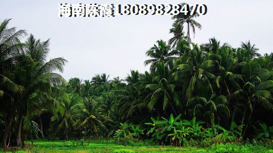 房价2024会跌得很惨？